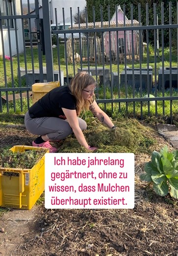 Mulchen für einfacheres Gärtnern: Tipps und Tricks