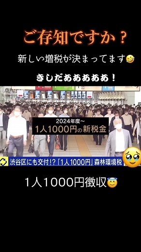 森林環境税の真相とは？岸田文雄が発表した新たな税金について