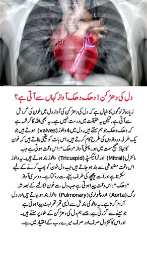 Why Does the Heart Go Thump Thump? | Amazing Facts About Heart Sounds