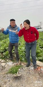 Chinese Funny Short Cartoons: Hilarious Moments!| Laugh Out Loud: Best Chinese Comedy Shorts