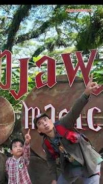 Exploring De Djawatan: The Lord of the Rings Forest of Banyuwangi, East Java | De Djawatan Forest