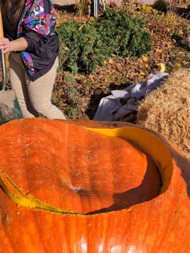 Gardens on Spring Creek on Reels