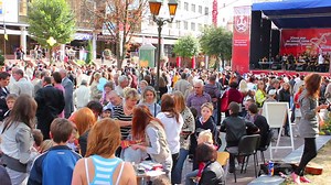 Download Big crowd at outdoor event