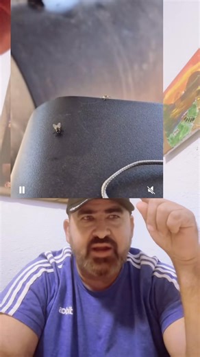 Alejandro Lopez on Reels