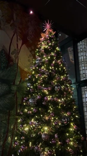 MIAMI CHRISTMAS