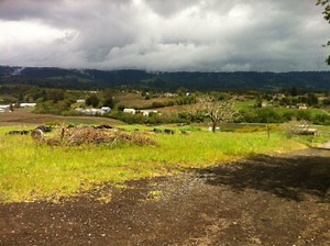 Live Earth Farm Leaves No Community Behind