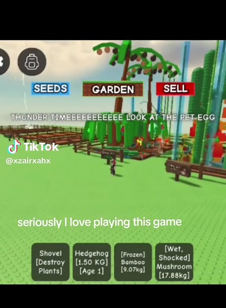 the thunder was soo crazy I can't stop playing grow garden! #roblox#robloxgameplay#robloxedit#playing#growgarden#growagarden#thunderbringer