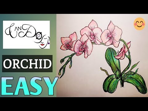 How To Draw An Orchid Step By Step For Beginners |Easy Orchid Drawing Tutorial | Sketch and Color