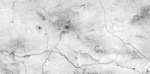 Robin DiAngelo’s ‘White Fragility’ ignores the differences within whiteness