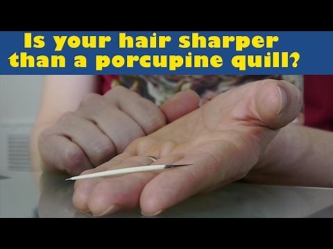 Microscope + porcupine quill = Ouchy awesomeness! Episode 1 of "Dude with a Microscope!"