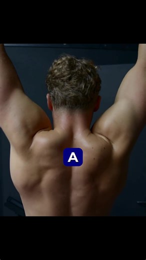 A Standard Pull-Up Only Uses About 25 Muscles Your lats, biceps, and upper back do most of the work when you’re locked on a bar. It’s hard—but comfortable. Your body only fires what’s necessary because the bar keeps you safe. Stability makes the brain relax. 🦍 Train smarter at www.monkeegrip.com #MuscleActivation #PullUpForm #BackWorkout #Calisthenics #GripTraining standard pull up muscles, pull up breakdown, lat engagement, bar pull ups, traditional pull up