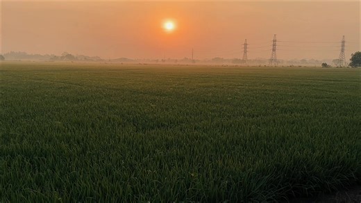 CapCut Chill Music for a Tranquil Dawn