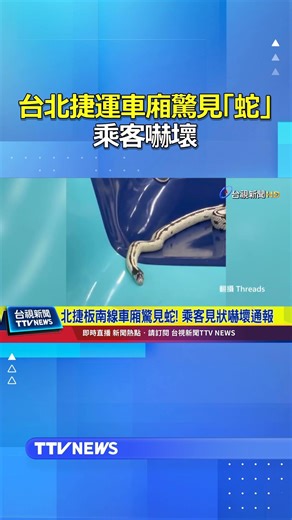 OMG! A snake was spotted in a Taipei Metro car, terrifying passengers. #Metro