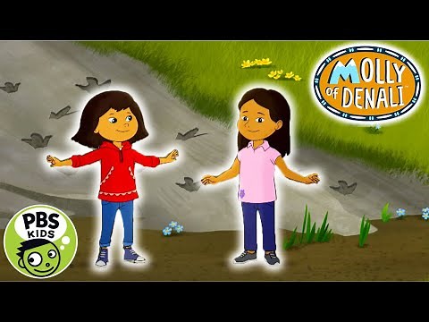 Molly Moves: Dino Dance | Molly of Denali | PBS KIDS