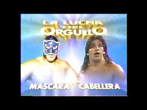 Blue Panther vs Love Machine (AAA July 25th, 1993)