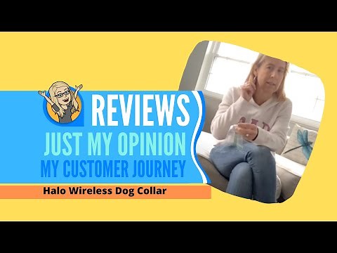 Halo Collar TRAINING - How to introduce and train your dog (DAY 1-3)