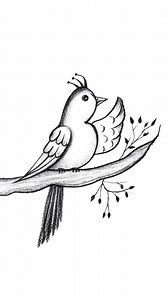 So Beautiful Bird Pencil Drawing 😍 Amazing bird drawing using only a pencil ✏️ Simple, clean, and looks professional 🐦 Watch till the end ❤️ #PencilDrawing #EasyDrawing #BirdSketch #education #trading #preschoolactivities #schoolevent #TanvirArtAcademy | Tanvir Art Academy