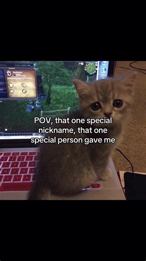 Creative Nickname Ideas for Your Loved Ones