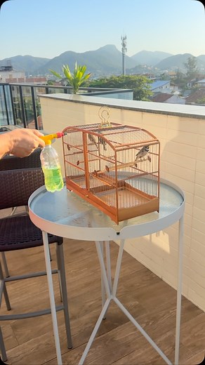 74K views · 2.8K reactions | COLEIRO TAGARELA NA MEXIDA , DOMINGO...