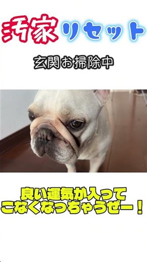 [House Cleanup #4] A housewife's regrets about wanting to improve her luck #HouseCleanup #Declutt...