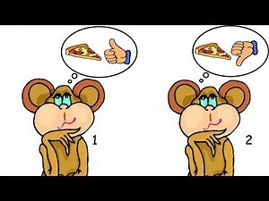 Watch how to sign 'about-face' in American Sign Language.