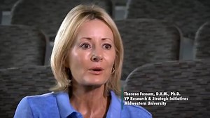 Animal research: is it a necessary evil?