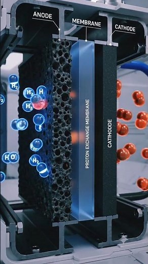 How does Fuel Cell Work? #fuelcell #hydrogen #science