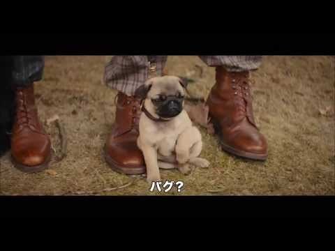 映画『キングスマン』本編映像「パグ」