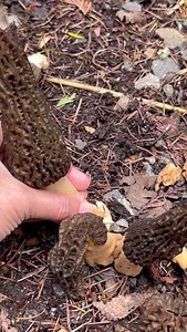 4.6M views · 38K reactions | Throwback! We were fortunate to enjoy...