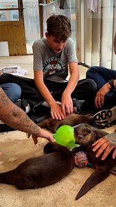 7.5K views · 1.2K reactions | Want to HOLD & PLAY with our OTTERS簾...