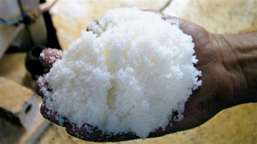 17K views · 193 reactions | Most of the world's sugar comes from...