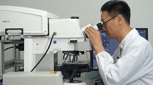 Dissection and Staining of Oenocytes in Droso - JoVE Journal