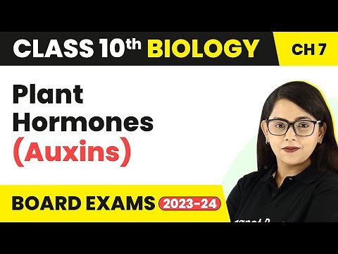 Plant Hormones (Auxins) - Control and Coordination | Class 10 Biology