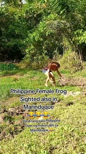 Hindi lang pala Philippine Deer ang namataan sa Marinduque Philippine Female Frog din! 😂😂😂