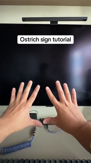 Yan May Tutorial: Ostrich Hand Sign Explained