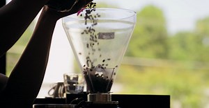 Video by Kelly     on Pexels