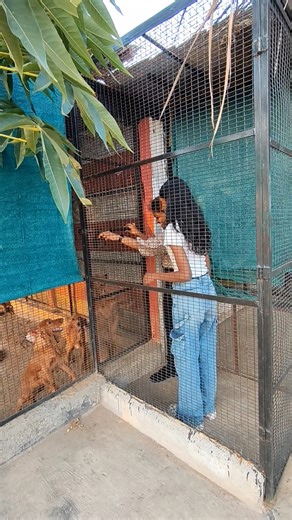 Ibrahim Farms Narthamalai | ATV Ride | Python and Sugar Glider and more... #funtime #holidayvibes