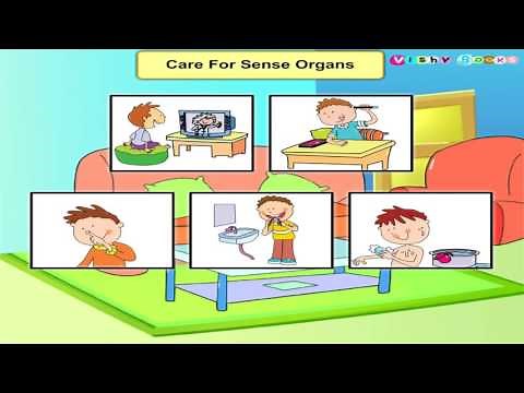Care for Sense Organs | Science