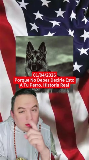 💬 Why You Should NEVER Say This to Your Dog Today! Reply to @celifernandez10 Shares Terrifying True Story of Supernatural Encounters – Creepypasta Tale Will Make You Fear Skinwalkers & Nahuals! #greenscreen #creepypasta #perros #skinwalker #nahual #terrorsobrenatural #tiktok #fyp #pyf #foryou #fyp シ #story #storytime #news