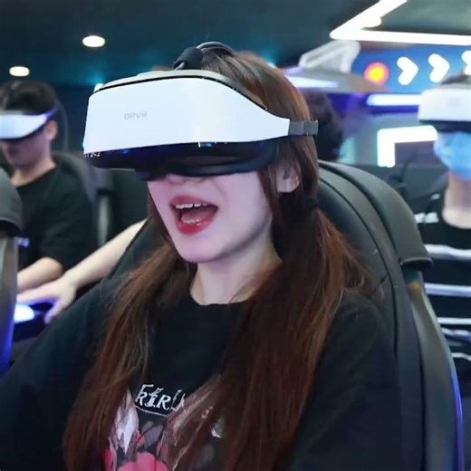 Virtual Reality simulator Theme Park