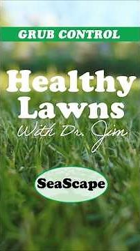 Grub Control: How Prevention Keeps Your Lawn Healthy All Season Long