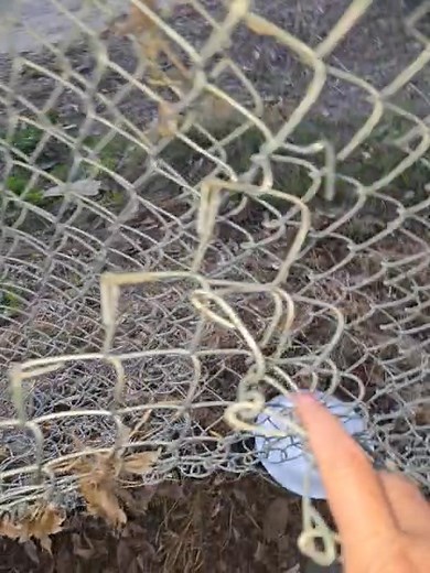 The bastards broke in again😡😡😡😡😡😡😡 | Martie Behrens