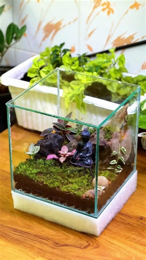 S_Epic Tales🌀 on Instagram: "Terrariums Now Available for Sale! 🌿 From gluing a simple cube tank to creating a living green world inside ✨ Each piece is handmade with care and designed to bring nature into your space 🌍💚 If you’re interested in owning one, DM me to book yours 📩 #TerrariumSale #HandmadeTerrarium #MiniGarden #IndoorPlants #cubetank"