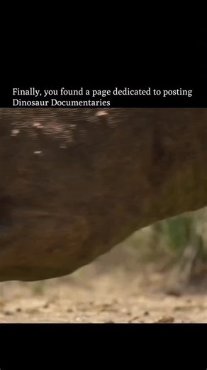 ⏰ 𝗙𝗼𝗹𝗹𝗼𝘄 𝘁𝗼 𝗴𝗼 𝗯𝗮𝗰𝗸 𝗶𝗻 𝘁𝗶𝗺𝗲 on Instagram: "Magengasaurus – Madagascar’s top hunter – doesn’t always get an easy meal. This particular female is blind in one eye, and every hunt is a struggle. She’s missed too many chances… and now, she’s starving. Her targets, the Sonnosukus, have the perfect defense: an underground escape network. When danger comes, they sprint for their burrows and jam the entrance with their heavily armoured backs, turning themselves into living shields. B