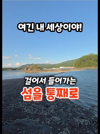 하루두번 걸어서 들어갈 수 있는 남해안 작은 무인도 #shorts #부동산#섬매매#무인도