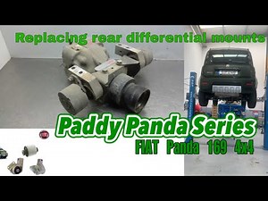 FIAT Panda 169 4x4 - we fit new differential supports - looking to fix the drivetrain shunt