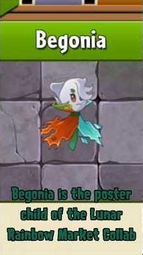 Explaining PvZ 2 Reflourished Plants: Begonia #pvz #pvz2 #plantsvszombies #pvz2reflourished