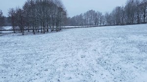 Snowfall in a snowy field with trees. Snow flies into the camera.