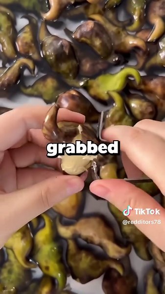 Understanding Military Ranks: Second Lieutenant vs First Sergeant