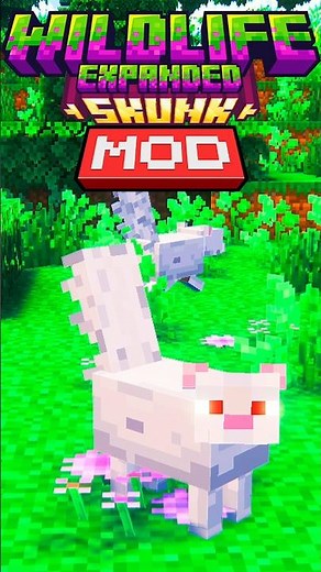 Minecraft 1.20.4: Os novos Cangambás do Minecraft!!! - Wildlife Expanded: Skunk MOD [JAVA]